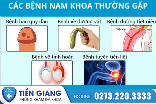 Các bệnh nam khoa thường gặp hiện nay.